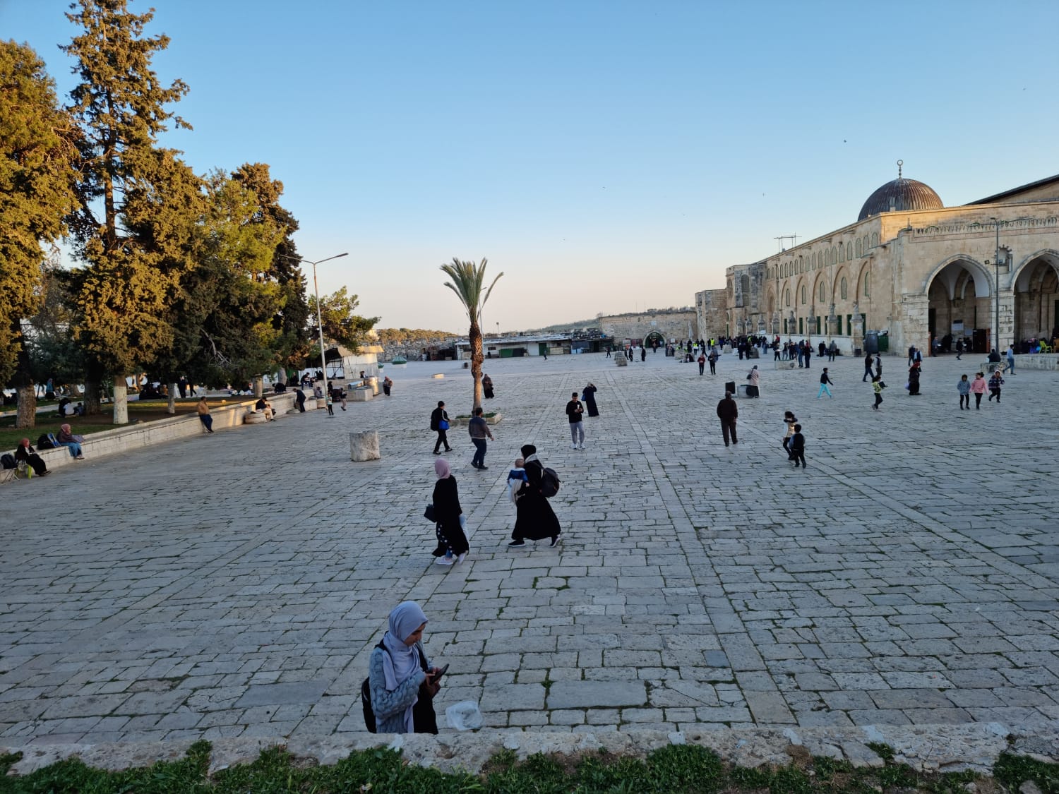 WhatsApp Image 2022-04-11 at 6.49.53 PM.jpeg